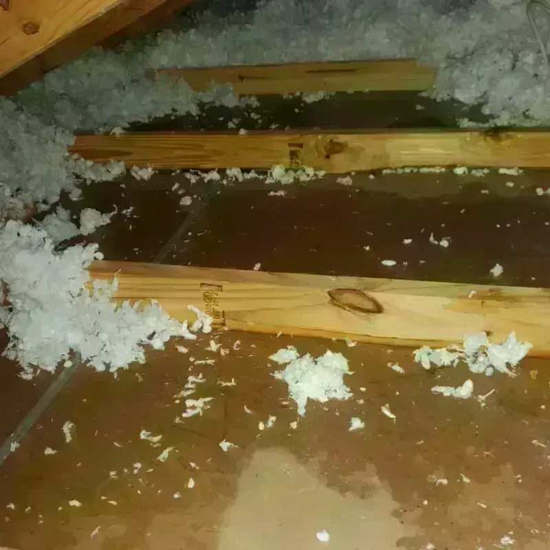 Attic Water Damage in Ohio County, KY