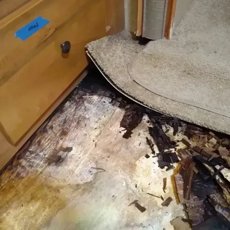 Wood Floor Water Damage in Ohio County, KY